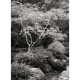 thumbnail image 3 of Geyman, Vitaly 14x18 Black Modern Framed Museum Art Print Titled - Japanese Park I BandW, 3 of 5