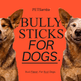 thumbnail image 5 of 6 Inch Bully Sticks for Dogs [10-Pack] – All-Natural, Long-Lasting Dog Chews – High Protein, Low Odor, Easily Digestible – Rawhide-Free & Single-Ingredient Dog Treats for All types of Chewers, 5 of 6