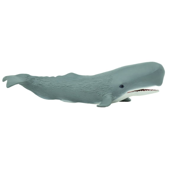 Safari Ltd. Sperm Whale Figurine - Lifelike 8.5" Figure - Educational Toy for Boys, Girls, and Kids Ages 3 