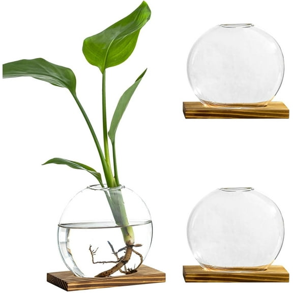 Propagation Vases for Plants with Wooden Stand, 2-Pack Round Glass Planter for Indoor Plants Hydroponic Growing - Ellipse Terrarium Vase for Spider Plants, Pothos, Office Desk Decor, Brown