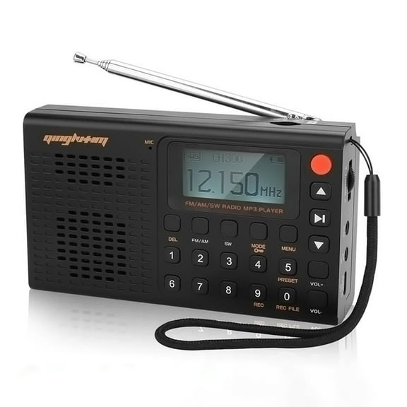 Wiher Portable Full-band Radio - Rechargeable AM FM SW World Band Radio DSP Good Reception Radio with Great Sound Mp3 Speaker Wireless BT Recording Function TF Card Support