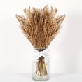 thumbnail image 5 of 30 Pcs Natural Dried Pampas Grass Decor Brown Bouquet Dried Flowers, 5 of 8