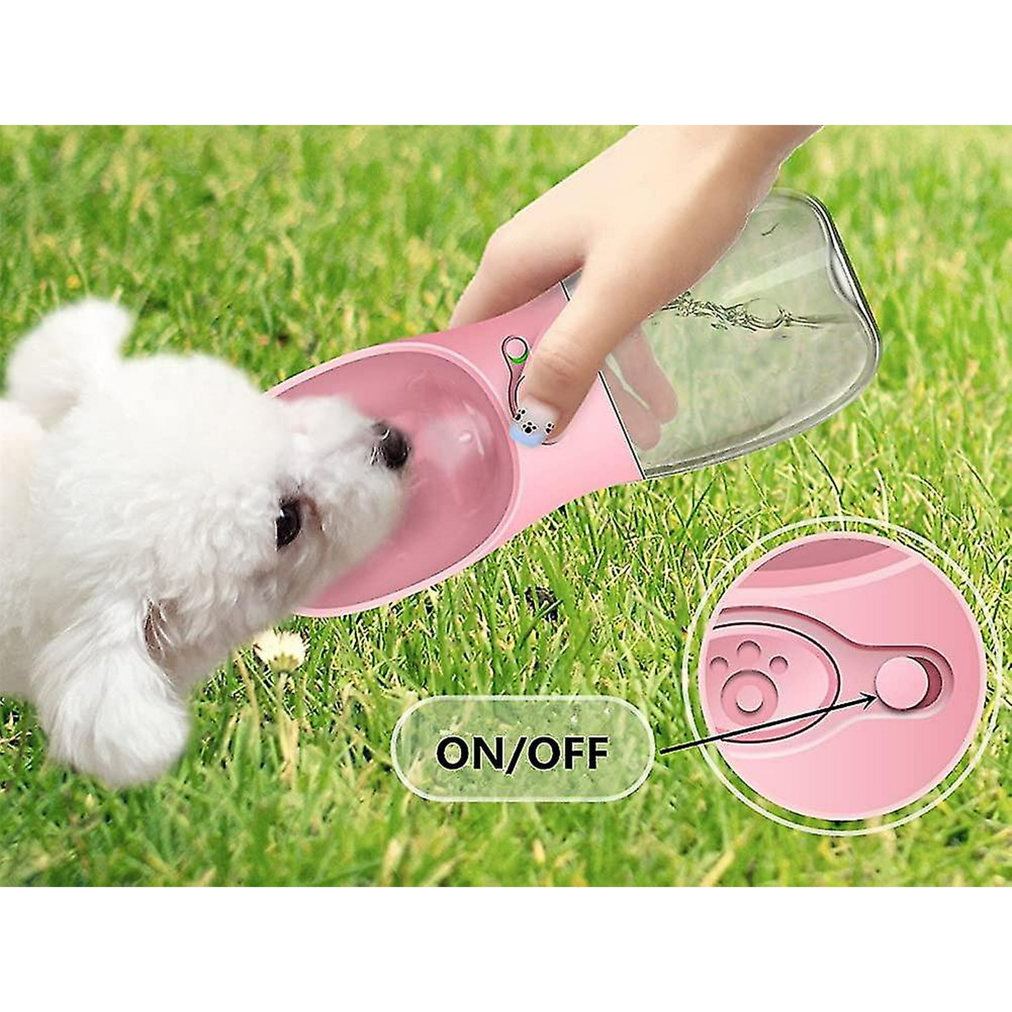 Dog water canteen online