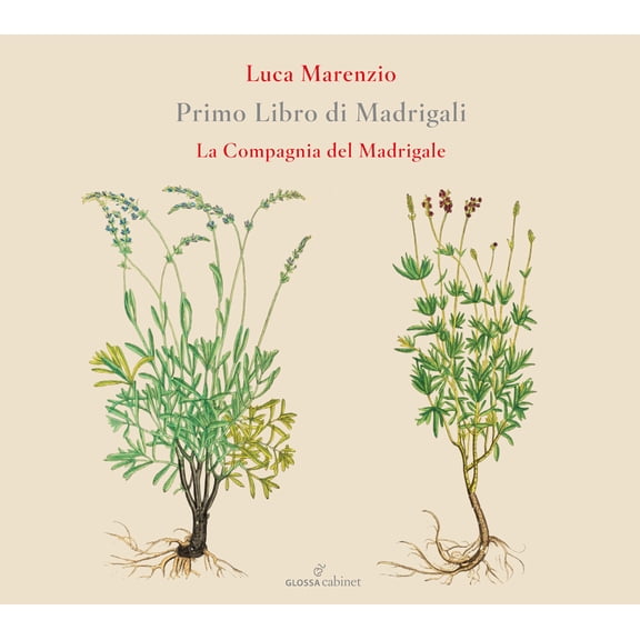 Compagnia Del Madrigale - Primo Libro Di Madrigali - Music & Performance - CD