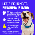 thumbnail image 2 of Wagsy Dog Breath Freshener & Dental Water Additive – Naturally Derived Dog Mouthwash for Bad Breath, Plaque, Tartar & Teeth Cleaning, 2 of 7