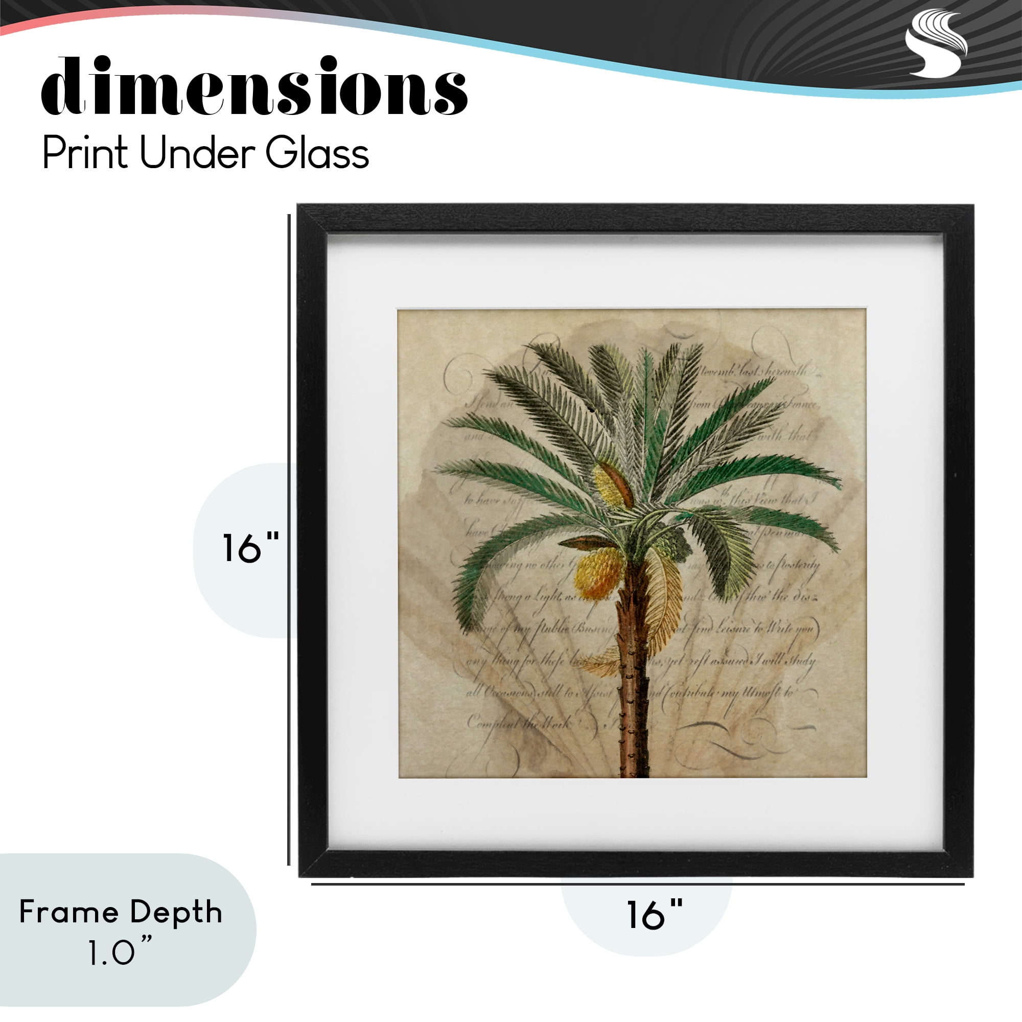 Stupell Industries Vintage Subdued Palm Black Framed Print Under Glass, design by Steve Hunziker