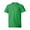Kelly Green, variant on Hanes Boys Short Sleeve Tee T-Shirt Crewneck 4-18 EcoSmart Soft Comfortblend