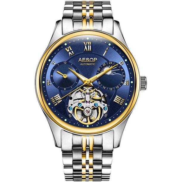 AESOP Men Skeleton Automatic SelfWind Mechanical Luminous Stainless