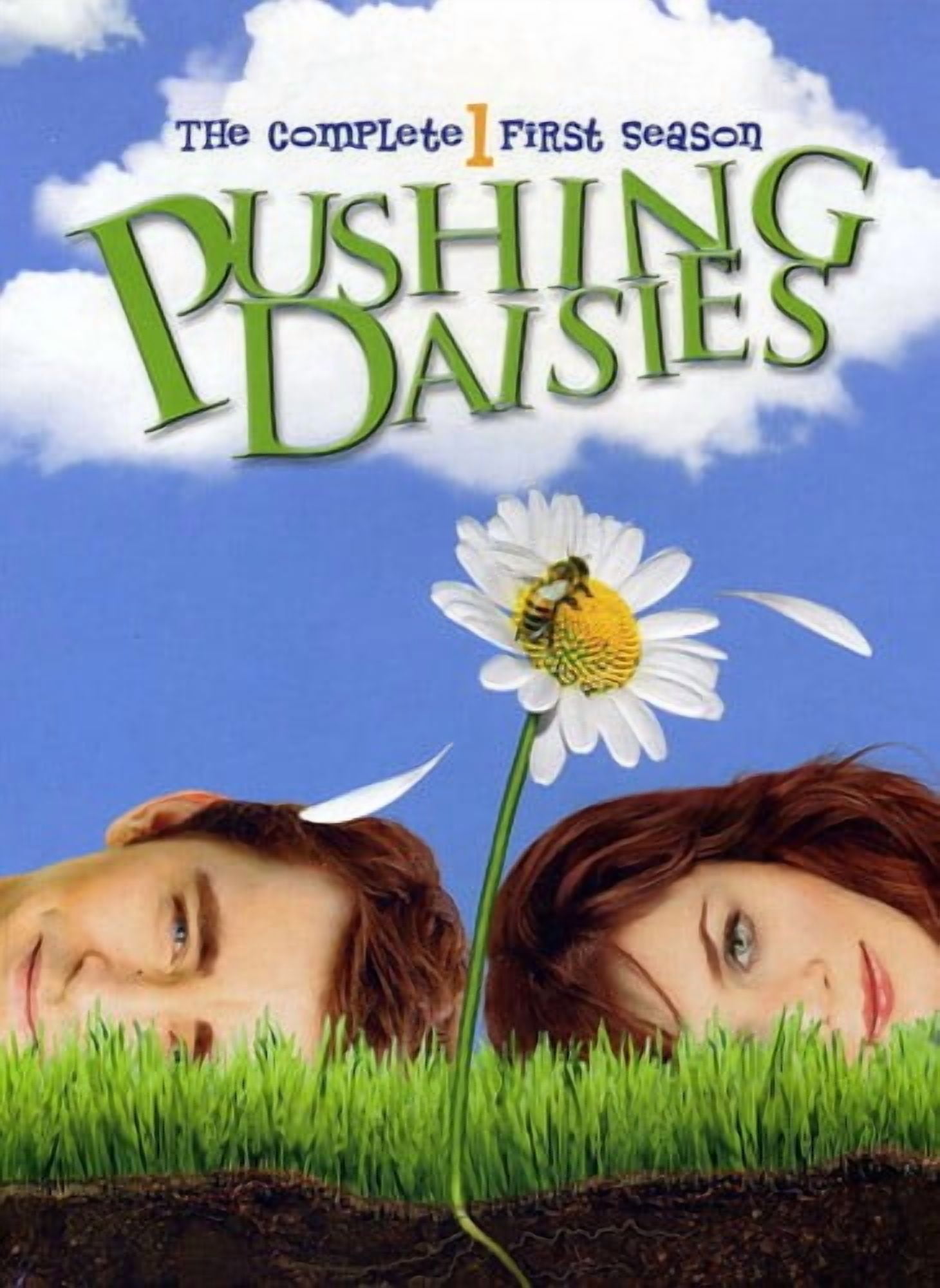 Warner Home Video: Pushing Daisies - Complete First Season DVD