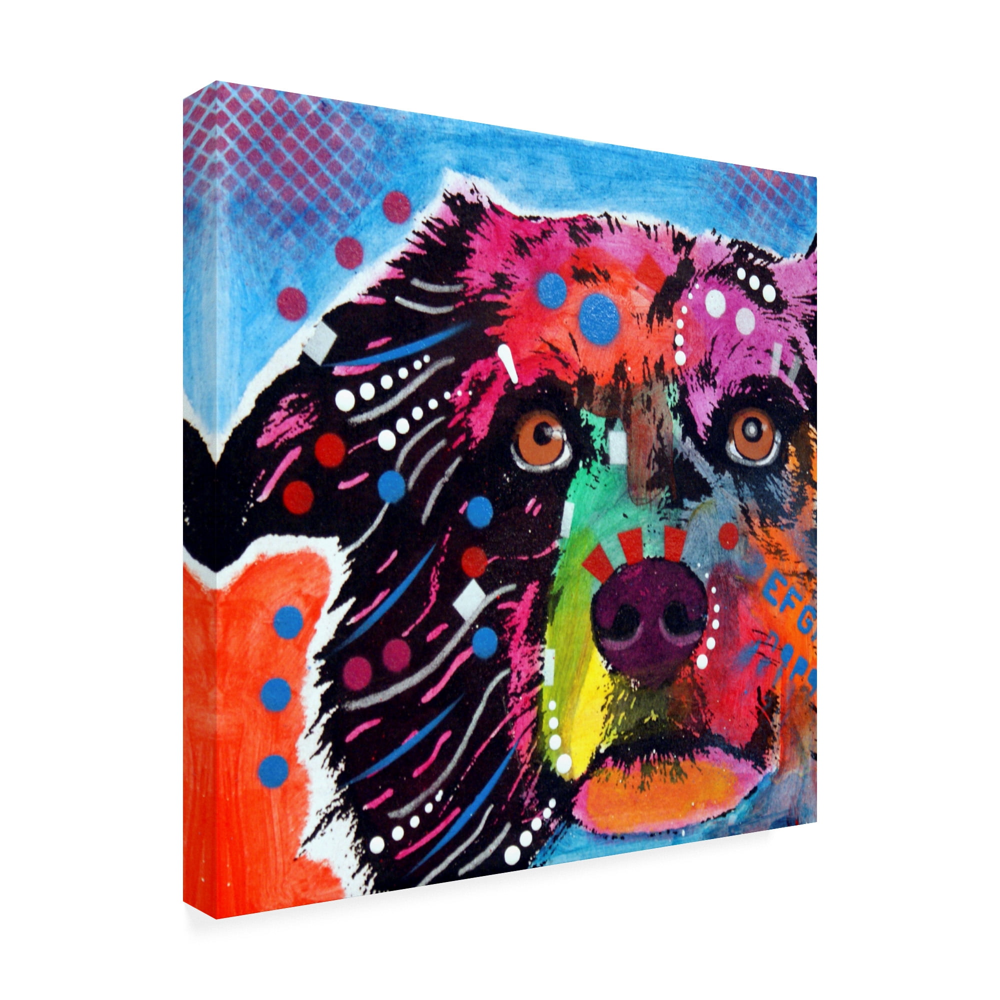 Trademark Fine Art 'Aussie Tile 123009' Canvas Art by Dean Russo
