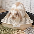 thumbnail image 7 of 4 Pcs Triangle Rabbit Litter Box, Corner Pet Toilet for Small Animals, Easy Clean Cage Potty Trainer for Rabbits, Guinea Pigs, Hamsters, Chinchillas, Ferrets, Gerbils for Indoor Cage Use, 7 of 7