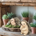 thumbnail image 6 of 2 Pcs Hedgehog Figurines – Miniature Resin Animal Statues for Home, Garden, or Fairy Decor – Charming Whimsical Sculptures for Shelf, Desk– Gift for Nature Lovers & Animal Figurine Collectors, 6 of 9