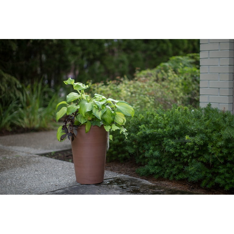 Algreen Valencia Planter, Round Taper Planter 12-In.by 18-In., Spun Charcoal Algreen Valencia Planter, Round Taper Planter 12-In.by 18-In., Spun Charcoal