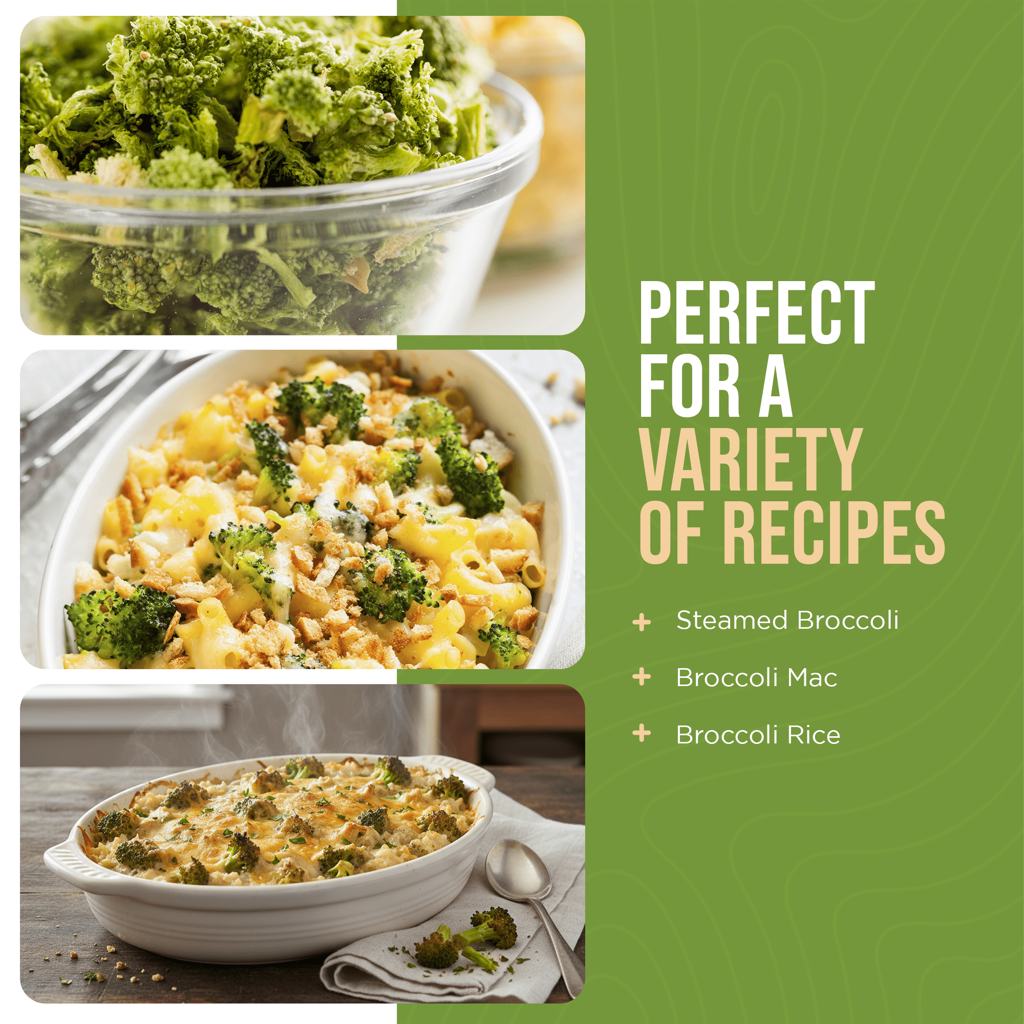 Augason Farms Freeze Dried Broccoli Florets and Stems Can, Emergency Food Supply, Everyday Meals, 34 Servings