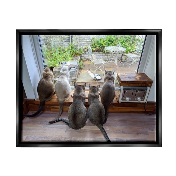 Stupell Industries Cats Watching Bird at Window Animals & Insects Photography Black Floater Framed Canvas Art Print Wall Art, 21 x 17
