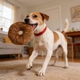 thumbnail image 3 of mdesiwst Plush Donut Dog Toy Squeaky Interactive Dog Chew Toy Stuffed Doughnut Soft Puppy Teething Toy for Cats And Dogs Indoor Play Chewing Instinct, 3 of 8