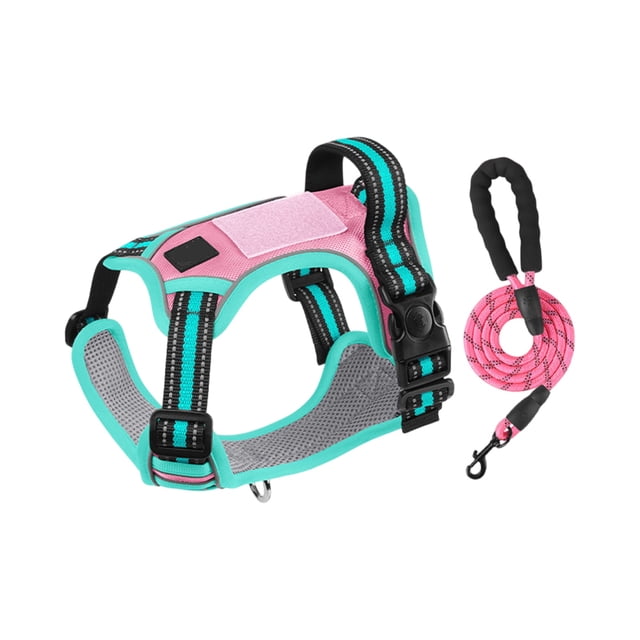 Colour-Block Dog Leash and Harness Set, Stylish Patterned Walking Gear, Adjustable Soft Mesh Vest for Dogs, Secure Buckle Closure, Lightweight Design(A, L)