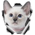thumbnail image 2 of GHSDFBB White Cat Sticker, Cat Car Decals Vinyl Sticker for Cars, Windows, Walls, Fridge, Toilet and More-15 Inch, 2 of 2