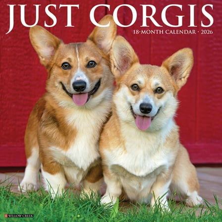 Corgis 2026 Wall Calendar, (Paperback)