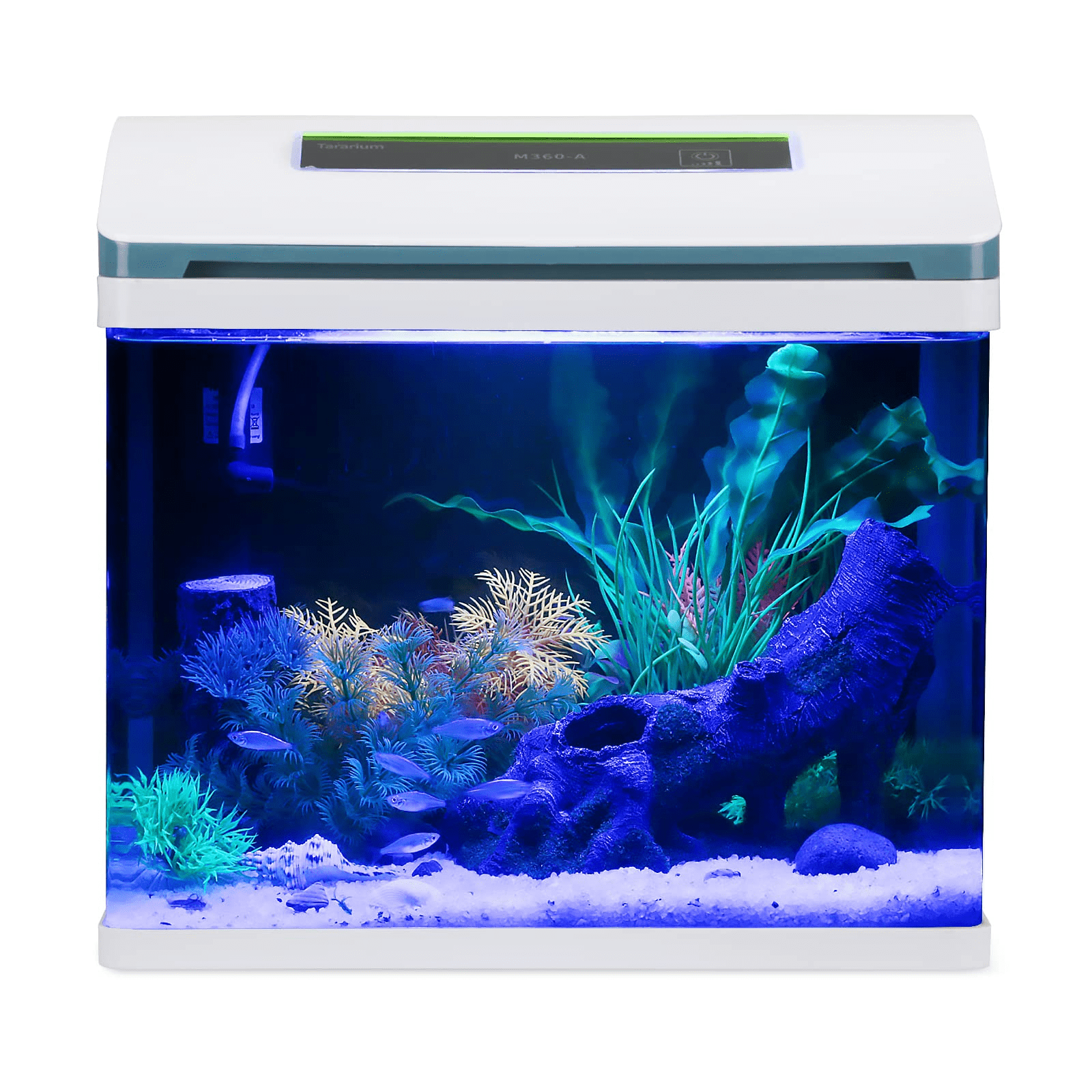 Jaina Fish Tank included tank, US standard air pump, LED lights,and 10 aquarium decorative accessories - Walmart.com