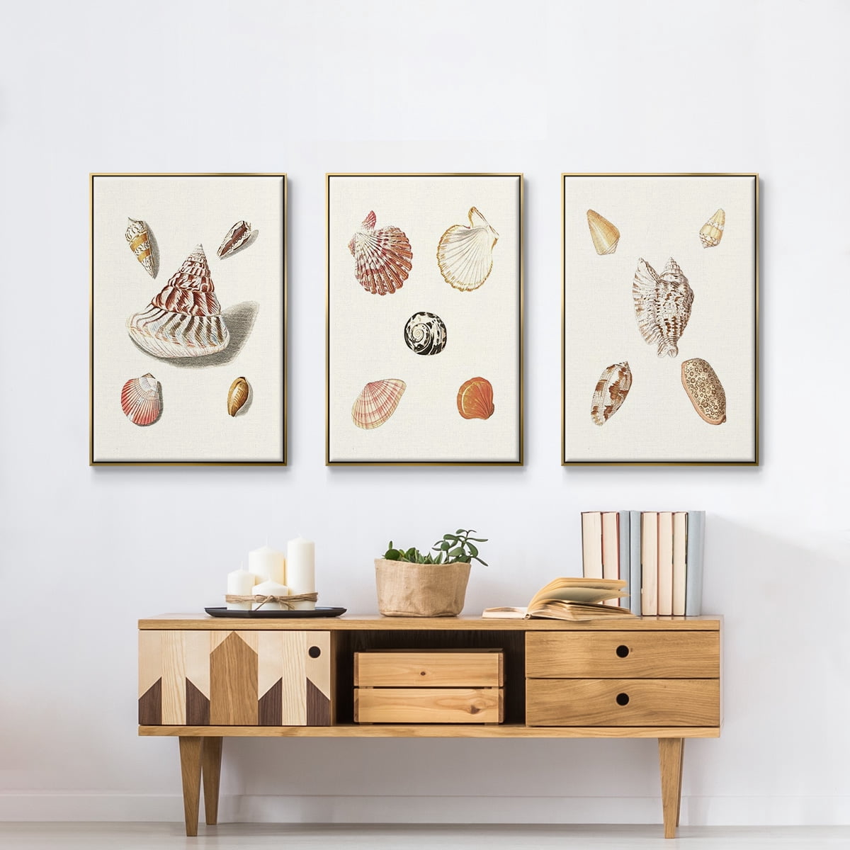 Pastel Knorr Shells VI - Framed Premium Gallery Wrapped Canvas L Frame 3 Piece Set - Ready to Hang