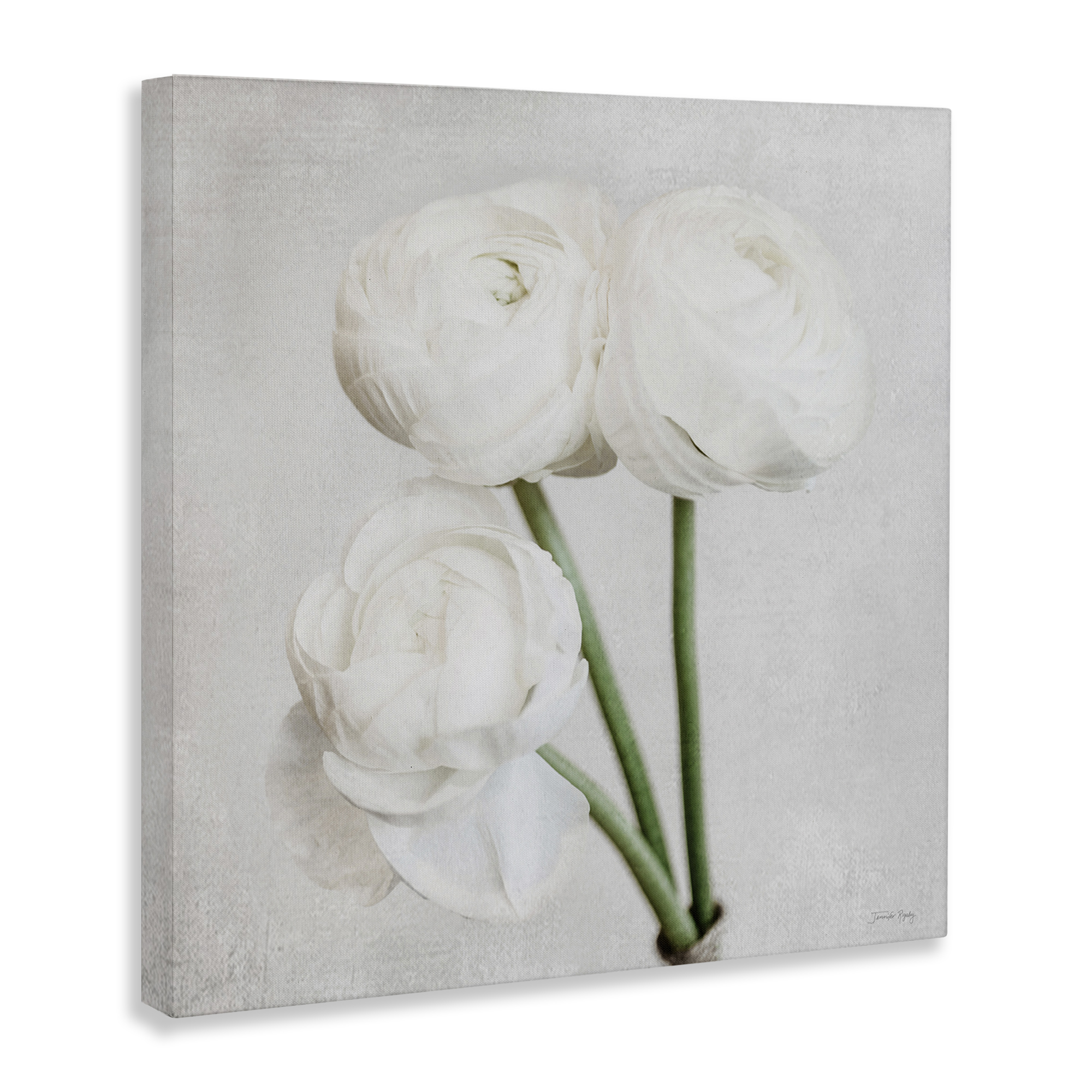 Stupell Industries Charming Peony Trio Botanical & Floral Painting Gallery Wrapped Canvas Art Print Wall Art, 30 x 30