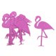 thumbnail image 1 of Paquete De 12 Calcomanías De Flamencos , Murales, Calcomanías, Calcomanías De Etiquetas De Taza De Botella, 1 of 9