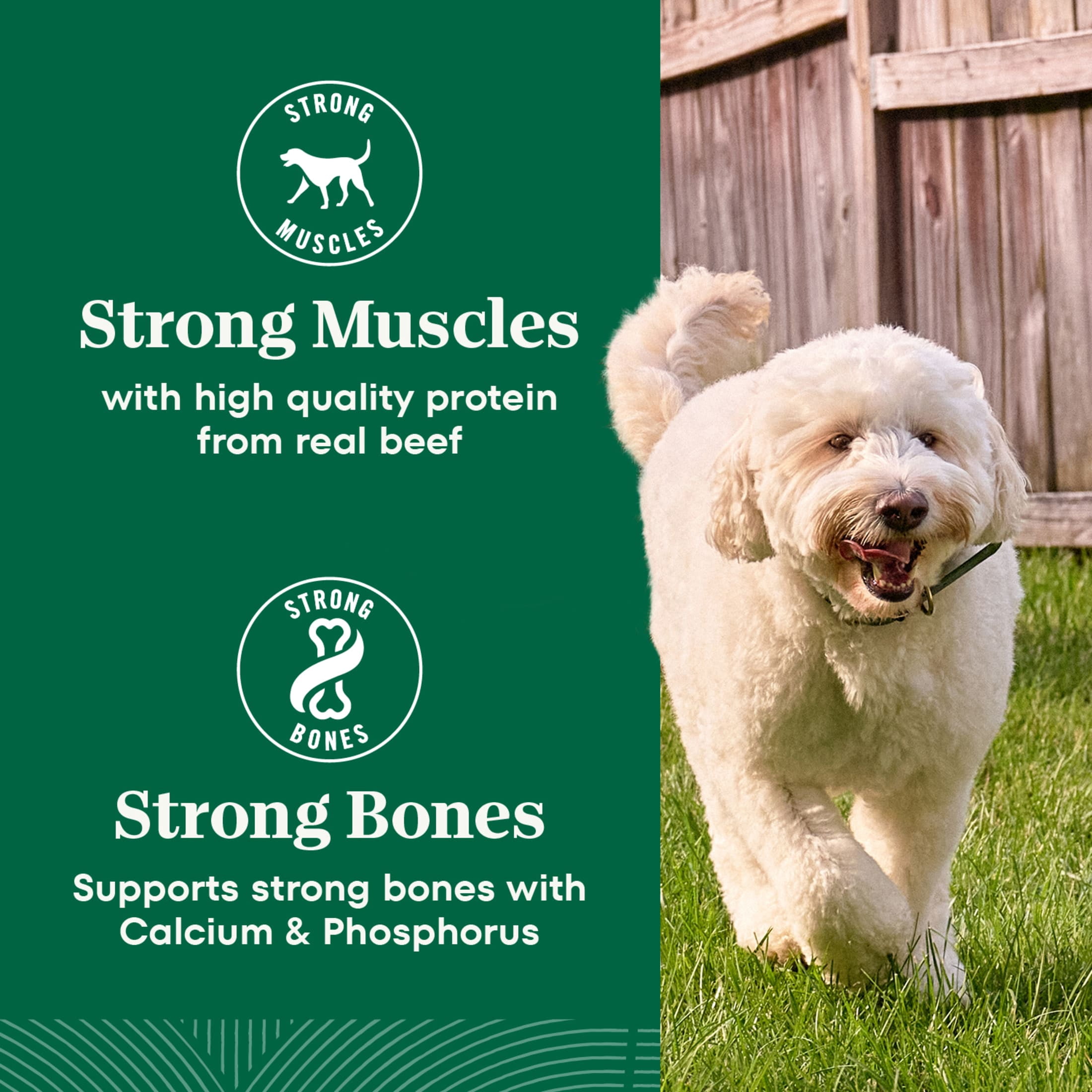Nutro Natural Choice Adult Dry Dog Food, Beef and Brown Rice Recipe, 28 lbs