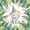 Sage, variant on Erosebridal Elephant Shower Curtain 72Wx72L for Girls, Pink Bow Waterproof Bathroom Curtain