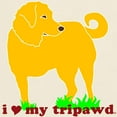 thumbnail image 3 of CafePress - Golden Tripawd Love Light T Shirt - Light T-Shirt - CP, 3 of 4