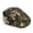Camouflage, variant on CHAQLIN Halloween Newsboy Hat Featuring Purple Black Bat, Retro Polyester Flat Cap for City Walk and Outdoor Casual Wear
