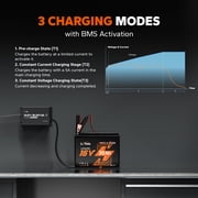 Litime 12V 16V 5A Mountable Lithium Battery Charger, IP65 Waterproof, 14.6V & 18.25V LiFePO4 Smart Charger with Adjustable Voltage, LED Indicator, Smart 3-Stage Charging & BMS Activation