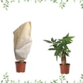thumbnail image 4 of Forro polar para plantas, protección contra heladas, cubierta de protección contra heladas para plantas de invierno, bolsa para cubrir plantas con cordón WD.WDQZL Hogar, 4 of 5