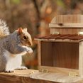 thumbnail image 5 of Minkissy Squirrel Picnic Table Feeder Brown for Backyard 1Pack, 5 of 5
