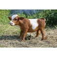 thumbnail image 2 of HI-LINE GIFT LTD. BROWN STANDING COW STATUE, 2 of 6