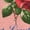 DESERT PINK, variant on Instant Message - American Roses Fitted Short Sleeve Graphic T-Shirt