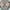 Grey/Light Blue, variant on SAFAVIEH Monaco Toria Oriental Area Rug, Ivory/Blue, 5'1" x 7'7"