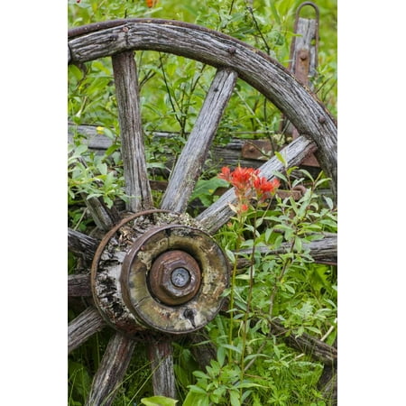 Wagon Wheel in Old Gold Town Barkersville, British Columbia, Canada Print Wall Art By Michael