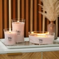 thumbnail image 3 of WoodWick Sheer Tuberose Scented Medium Hourglass Candle, Crackles as it Burns, Great for gifting, 9.7oz, 3 of 6