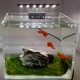 thumbnail image 2 of 5W Ultra-thin Aquarium LED Light Ultra Bright Clip-on Lighting Lamp 12 LEDs for Aquarium Fish Tank, 2 of 5