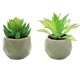 thumbnail image 1 of Suculentas de simulación, bonsái de diamante grande, adornos pequeños creativos para interiores, plantación en macetas de flores artificiales, 2 uds., 1 of 5