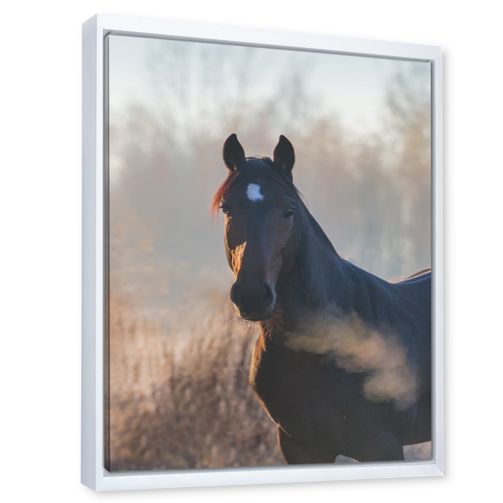 Designart 'Close Up Portrait Of A Horse On An Autumn Morning' Farmhouse Framed Canvas Wall Art Print