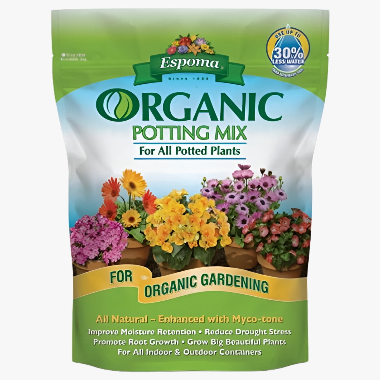 Miracle-Gro Cactus Palm Citrus Potting Mix Soil, 8 qt, Well