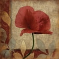 thumbnail image 3 of Grey, Jace 12x12 Black Modern Framed Museum Art Print Titled - Poppies Patch, 3 of 5