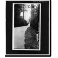 thumbnail image 2 of Historic Framed Print, Redwood National & State Parks Roads, California coast from Crescent City to Trinidad, Crescent City, Del Norte County, CA - 51, 17-7/8" x 21-7/8", 2 of 9