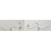 (2-pack) Phonak Micro Tube Refill SNAP-ON type hearing aid replacement Tubes Size 2B Left and Right