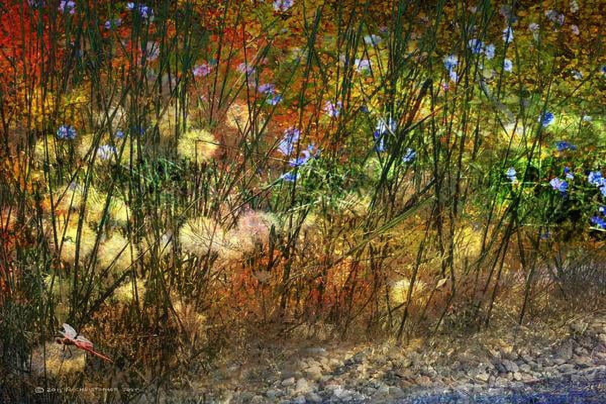 "Meadow Dragon Fly" Painting Print on Wrapped Canvas