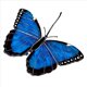 thumbnail image 2 of 2X Atrapasueños de Mariposas Teñidas, Vidrieras para Colgar en Ventanas, Atrapasoles de Mariposas Colgantes para Decoraciones de Mariposas de Coche C, 2 of 4
