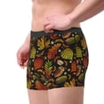 thumbnail image 2 of Pofeuu Vintage Autumn Plants Butterfly Print Men’s Boxer Briefs, Moisture-Wicking Underwear, Regular,Trunk-Medium, 2 of 5