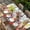 White, variant on Spring Easter Bunny Table Cloths for 3 Foot Rectangle Tables, Green Wooden Red Floral Easter Eggs Patio Waterproof Elastic Fitted Tablecloths, Washable Rectangular Table Cover for Camping